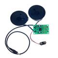 large mp3 stereo amplifier kit