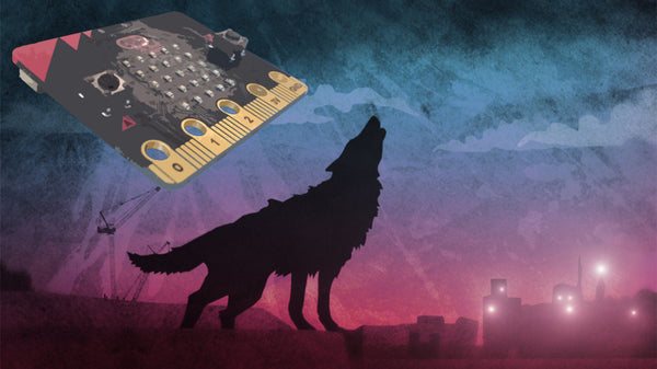 Protect Your Wolfblood Secrets With The microbit