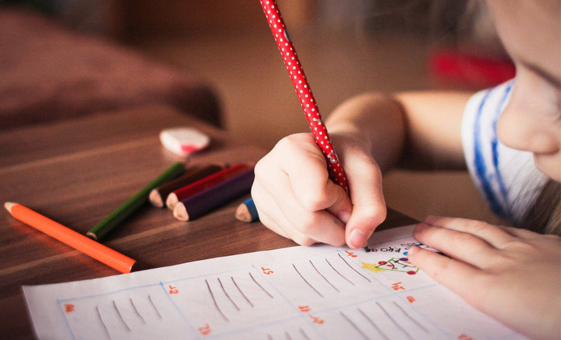 10 Recommended Products to Support Home Schooling