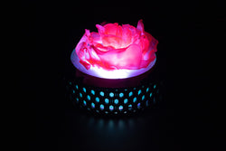 Lasercut & Thermoformed Polypropylene Rose Lamp completed project