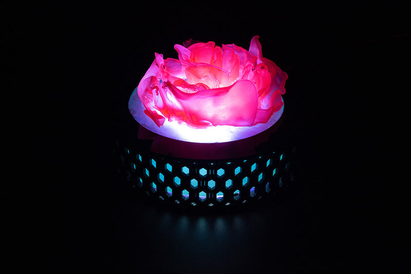 Lasercut & Thermoformed Polypropylene Rose Lamp completed project