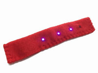 How to Make a Light-up Collar for a Dog