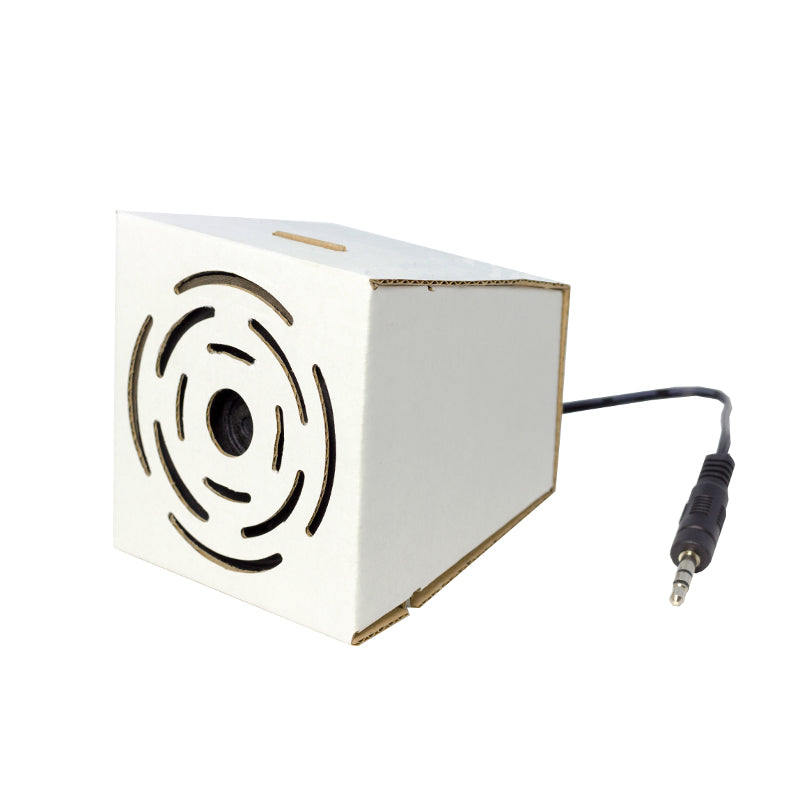 large cardboard mono amplifier case