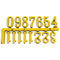 large arabic gilt numeral 20mm