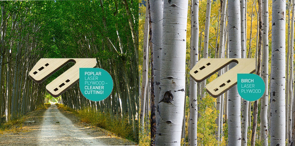 How is Poplar Plywood Different to Birch Plywood