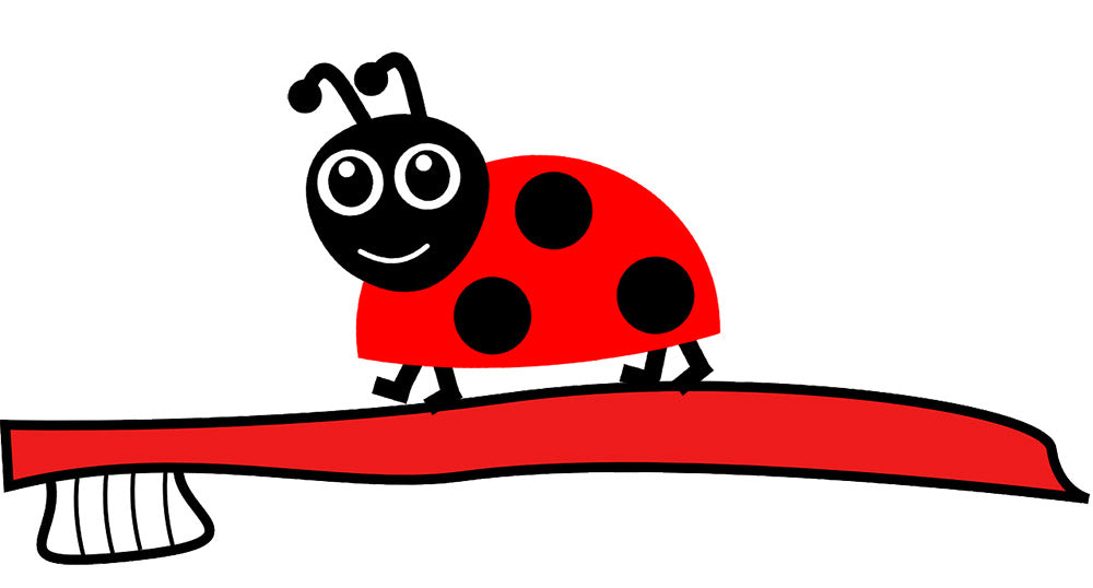 IET Scout Brush Bug – Project 2