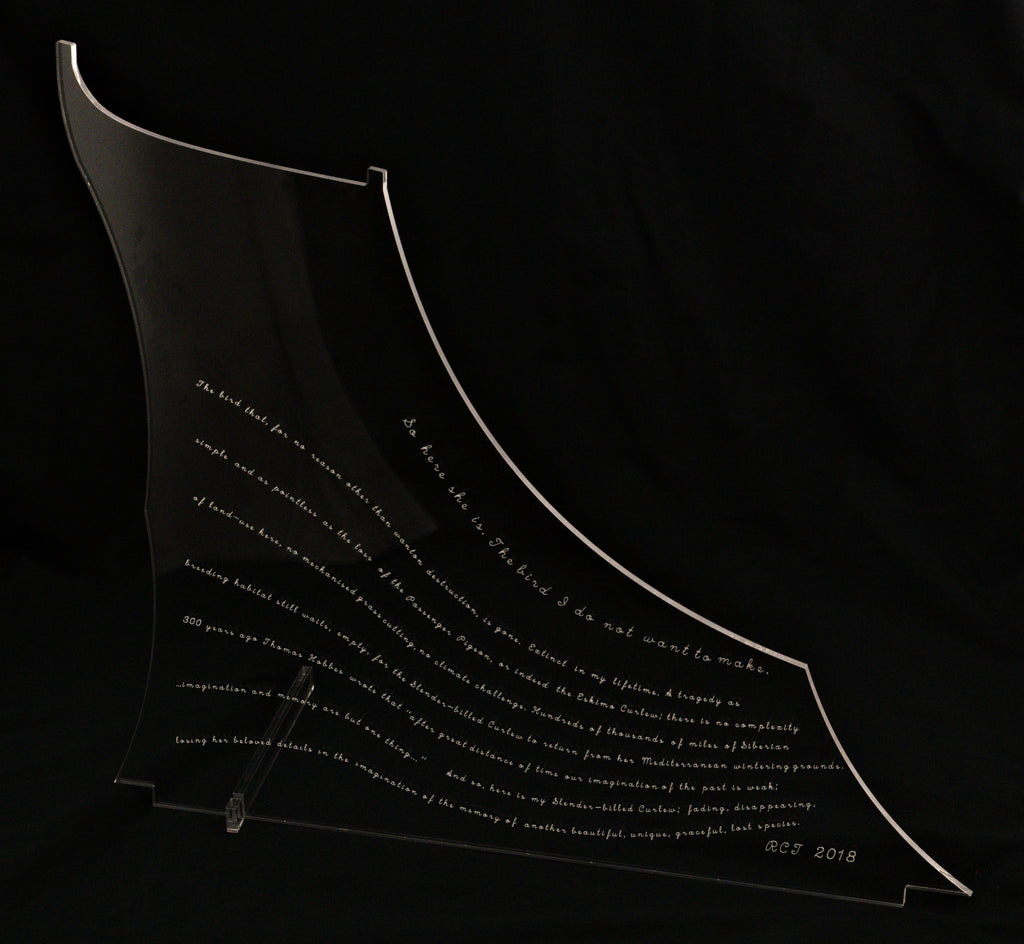 Slender Billed Curlew stand