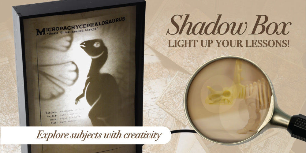 How to make a Shadow Box Dinosaur with Value acrylic and LED strips